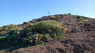 GC-Mirador de la Cruz (Las Palmas) 2026-41.jpg